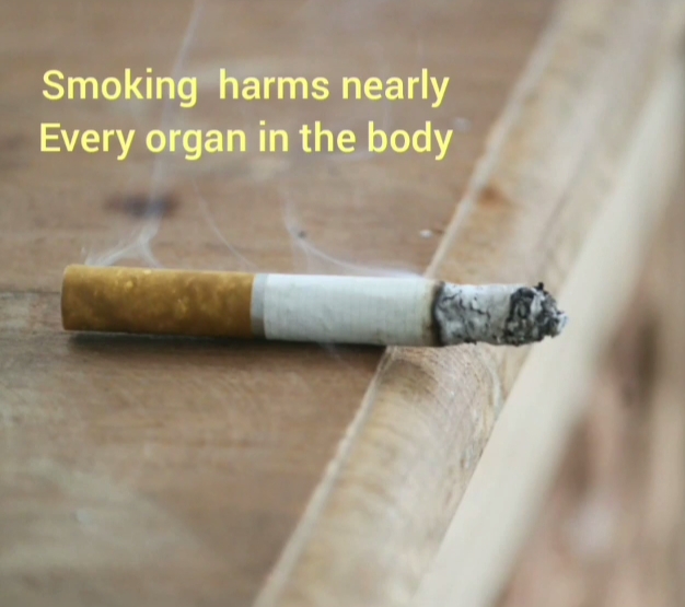 SAY NO TOBACCO